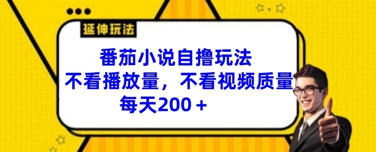 番茄小说自撸玩法，不看播放量，不看视频质量，每天200+【揭秘】-网创项目总站