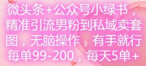 微头条+公众号小绿书，精准引流男粉到私域卖套图，无脑操作，有手就行，每单99-200，每天5单-网创项目总站