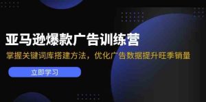 亚马逊VC账号核心玩法，拆解产品模块运营技巧，提升店铺GMV，提升运营利润-网创项目总站
