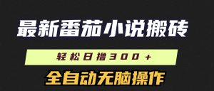 （11904期）最新番茄小说搬砖，日撸300＋！全自动操作，可矩阵放大-网创项目总站