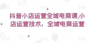 抖音小店运营全域电商课，​小店运营技术，全域电商运营-网创项目总站