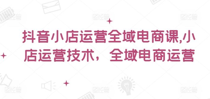 抖音小店运营全域电商课，​小店运营技术，全域电商运营-网创项目总站