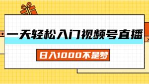 （11906期）一天入门视频号直播带货，日入1000不是梦-网创项目总站