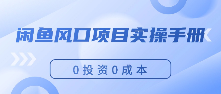 （11923期）闲鱼风口项目实操手册，0投资0成本，让你做到，月入过万，新手可做-网创项目总站