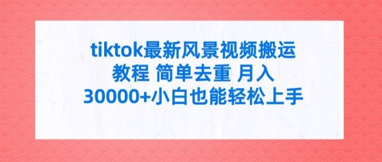 tiktok最新风景视频搬运教程 简单去重 月入3W+小白也能轻松上手【揭秘】-网创项目总站