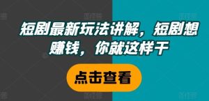 短剧最新玩法讲解,短剧想赚钱,你就这样干-网创项目总站