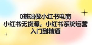 （11960期）0基础做小红书电商，小红书无货源，小红书系统运营，入门到精通 (70节)-网创项目总站