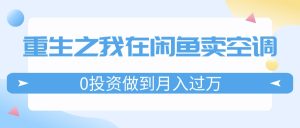 （11962期）重生之我在闲鱼卖空调，0投资做到月入过万，迎娶白富美，走上人生巅峰-网创项目总站