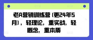 老A营销训练营(更24年7月)，轻理论，重实战，轻概念，重本质-网创项目总站
