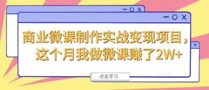 商业微课制作实战变现项目，这个月我做微课赚了2W+-网创项目总站