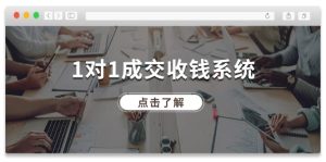 1对1成交收钱系统，全网130万粉丝，十年专注于引流和成交！-网创项目总站