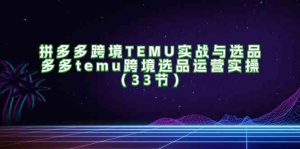 拼多多跨境TEMU实战与选品，多多temu跨境选品运营实操（33节）-网创项目总站