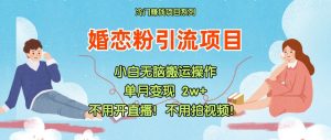 小红书婚恋粉引流，不用开直播！不用拍视频！不用做交付-网创项目总站