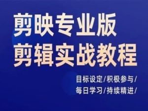 剪映专业版剪辑实战教程，目标设定/积极参与/每日学习/持续精进-网创项目总站