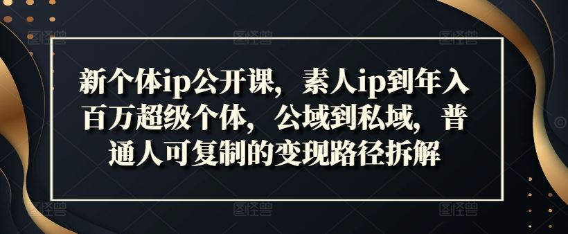 新个体ip公开课，素人ip到年入百万超级个体，公域到私域，普通人可复制的变现路径拆解-网创项目总站