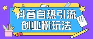 抖音引流创业粉自热玩法日引200+精准粉-网创项目总站