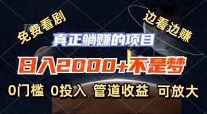 （11979期）免费看剧，边看边赚，日入2000+不是梦，一个真正的躺赚项目-网创项目总站