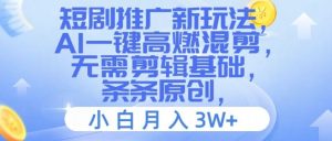短剧推广新玩法，AI一键高燃混剪，无需剪辑基础，条条原创，小白月入3W+【揭秘】-网创项目总站