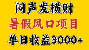 30天赚了7.5W 暑假风口项目，比较好学，2天左右上手-网创项目总站