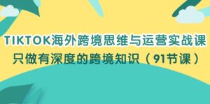 (12010期)TIKTOK海外跨境思维与运营实战课,只做有深度的跨境知识(91节课)-网创项目总站