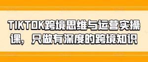 TIKTOK跨境思维与运营实操课，只做有深度的跨境知识-网创项目总站