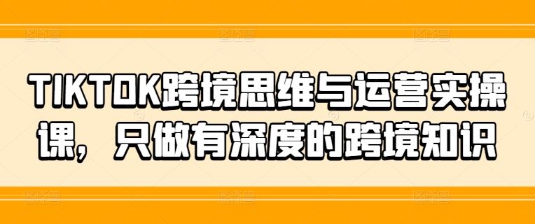 TIKTOK跨境思维与运营实操课，只做有深度的跨境知识-网创项目总站