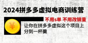 （12024期）2024拼多多虚拟电商训练营 不s单 不改销量  做虚拟项目分一杯羹(更新10节)-网创项目总站