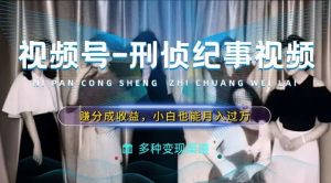 利用刑侦纪实视频，赚视频号分成计划收益，操作简单，新手小白轻松月入过万【揭秘】-网创项目总站