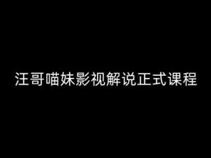 汪哥影视解说正式课程：剪映/PR教学/视解说剪辑5大黄金法则/全流程剪辑7把利器等等-网创项目总站
