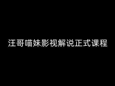 汪哥影视解说正式课程：剪映/PR教学/视解说剪辑5大黄金法则/全流程剪辑7把利器等等-网创项目总站