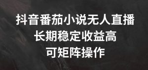 抖音番茄小说无人直播，长期稳定收益高，可矩阵操作【揭秘】-网创项目总站