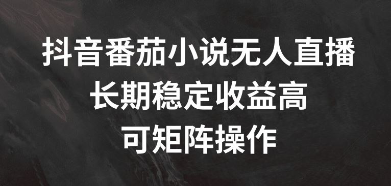 抖音番茄小说无人直播，长期稳定收益高，可矩阵操作【揭秘】-网创项目总站