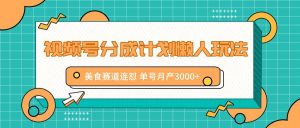 视频号分成计划懒人玩法，美食赛道连怼 单号月产3000+-网创项目总站