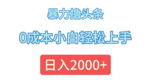 （12068期）暴力撸头条，0成本小白轻松上手，日入2000+-网创项目总站