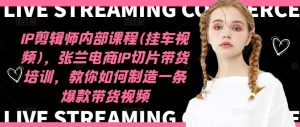 IP剪辑师内部课程(挂车视频)，张兰电商IP切片带货培训，教你如何制造一条爆款带货视频-网创项目总站