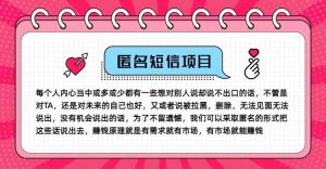 冷门小众赚钱项目，匿名短信，玩转信息差，月入五位数【揭秘】-网创项目总站