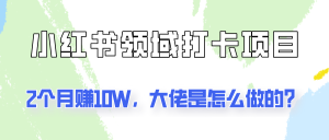 通过小红书领域打卡项目2个月赚10W，大佬是怎么做的？-网创项目总站