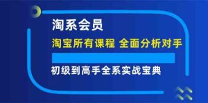 淘系会员初级到高手全系实战宝典【淘宝所有课程，全面分析对手】-网创项目总站