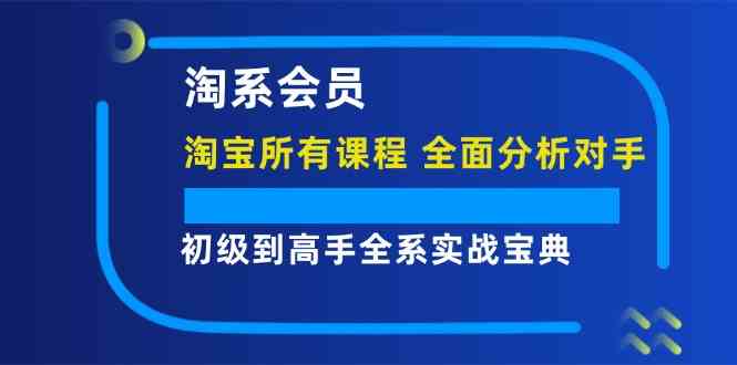 淘系会员初级到高手全系实战宝典【淘宝所有课程，全面分析对手】-网创项目总站