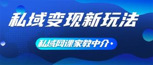 （12089期）私域变现新玩法，网课家教中介，只做渠道和流量，让大学生给你打工、0…-网创项目总站