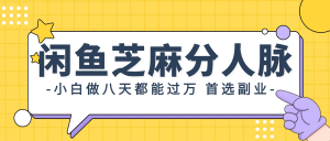 （12090期）闲鱼芝麻分人脉，小白做八天，都能过万！首选副业！-网创项目总站