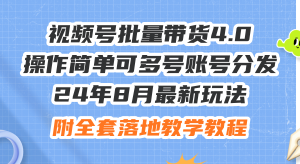 (12093期)24年8月最新玩法视频号批量带货4.0,操作简单可多号账号分发,附全套落…-网创项目总站
