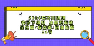 （12097期）2024钩子·引流课：钩子下得好 流量不再愁，定位篇/标签篇/破播放篇/24节-网创项目总站