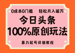 （12100期）头条100%原创玩法，暴力起号详细教程，0成本无门槛，简单上手，单号月…-网创项目总站