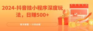 2024全网首次披露，抖音挂小程序深度玩法，日赚500+，简单、稳定，带渠道收入，小白必做-网创项目总站