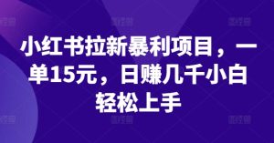 小红书拉新暴利项目，一单15元，日赚几千小白轻松上手-网创项目总站