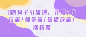 2024钩子引流课，开篇/定位篇/标签篇/破播放篇/涨粉篇-网创项目总站