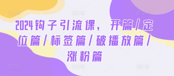 2024钩子引流课，开篇/定位篇/标签篇/破播放篇/涨粉篇-网创项目总站
