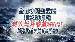 全自动网盘拉新和私域打造，0粉起步简单操作，新人入门当月收益5000以上-网创项目总站