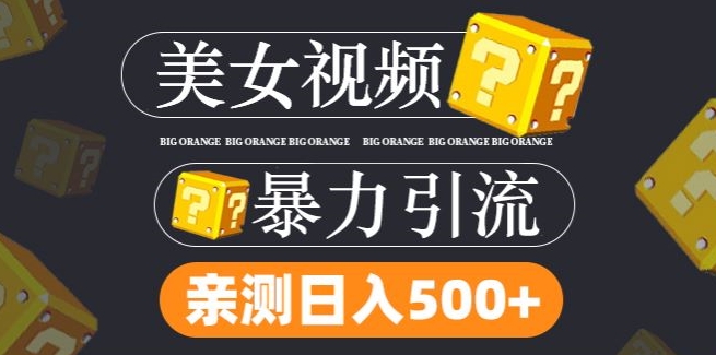 搬运tk美女视频全网分发，日引s粉300+，轻松变现，不限流量不封号-网创项目总站